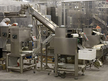 成都漢莎調料品有限公司